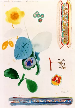 Page of Studies: Branches of Flowers, Butterfly and Decoration by Odilon Redon Oil Painting