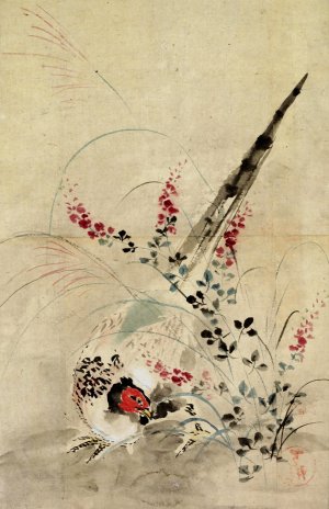 Pheasant and Grasses by Ogata Korin Oil Painting