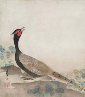 Pheasant by Ogata Korin Oil Painting