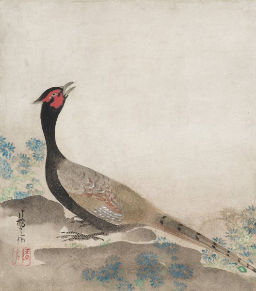 Pheasant  by Ogata Korin - Hand-Painted Oil Painting Reproduction