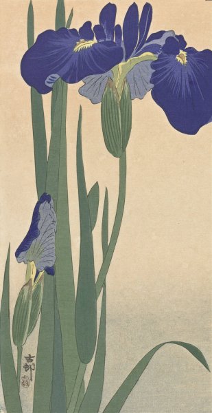 Blue Irises  by Ohara Koson - Hand-Painted Oil Painting Reproduction