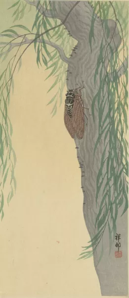 Cicada on tree by Ohara Koson Oil Painting
