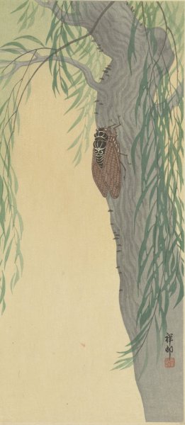 Cicada on tree  by Ohara Koson - Hand-Painted Oil Painting Reproduction