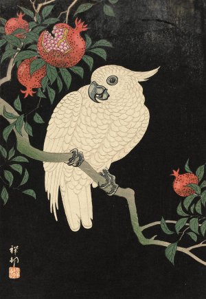 Cockatoo And Pomegranate by Ohara Koson Oil Painting
