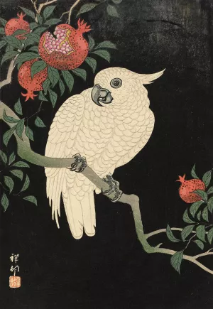 Cockatoo And Pomegranate by Ohara Koson Oil Painting