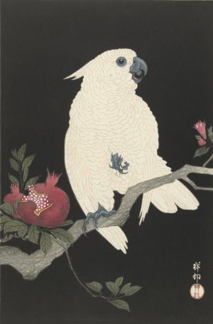 Cockatoo and pomegranate by Ohara Koson Oil Painting