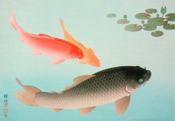 Main Product Photo of Common And Golden Carp  Painting by Ohara Koson