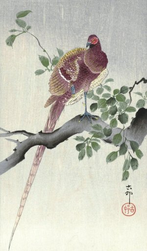 Copper pheasant by Ohara Koson Oil Painting