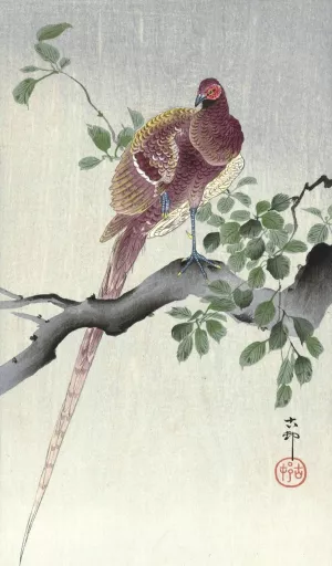 Copper pheasant by Ohara Koson Oil Painting