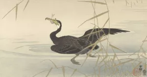 Cormorant with fish by Ohara Koson Oil Painting