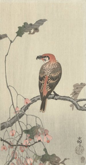 Crossbill on tree branch by Ohara Koson Oil Painting