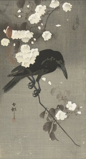 Crow with cherry blossom by Ohara Koson Oil Painting