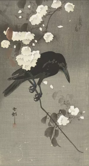 Crow with cherry blossom by Ohara Koson Oil Painting