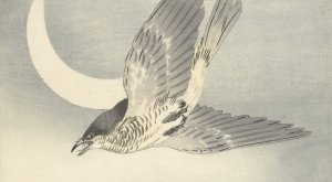 Cuckoo at crescent moon by Ohara Koson Oil Painting