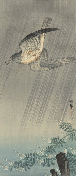 Cuckoo in storm by Ohara Koson Oil Painting
