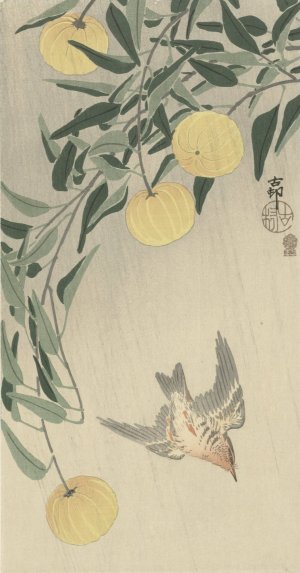 Cuckoo in the rain by Ohara Koson Oil Painting