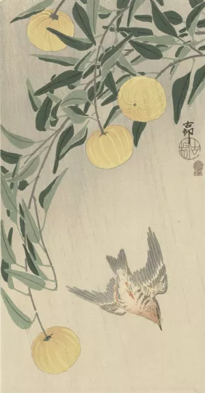 Cuckoo in the rain by Ohara Koson Oil Painting