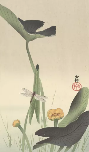 Dragonfly and lotus by Ohara Koson Oil Painting