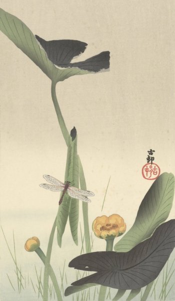 Main Product Photo of Dragonfly and lotus  Painting by Ohara Koson