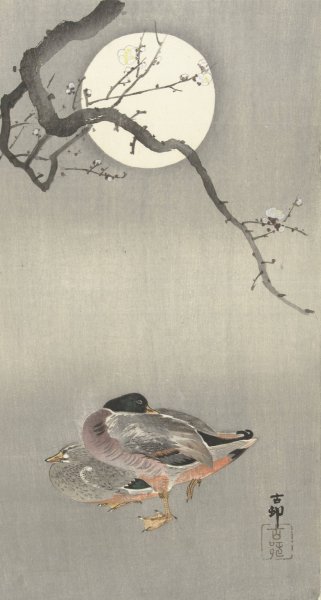 Ducks at full moon  by Ohara Koson - Hand-Painted Oil Painting Reproduction