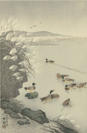 Ducks in the water by Ohara Koson Oil Painting