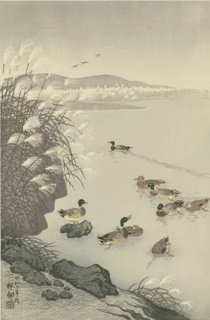 Ducks in the water by Ohara Koson Oil Painting