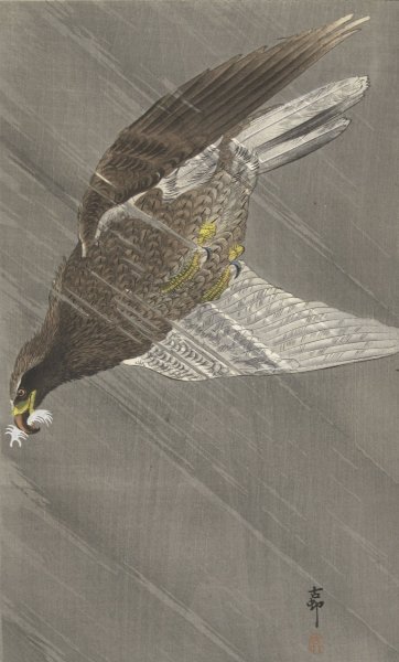 Main Product Photo of Eagle Flying Down  Painting by Ohara Koson
