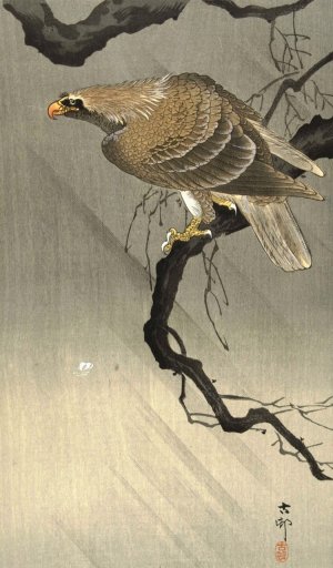 Eagle on branch by Ohara Koson Oil Painting