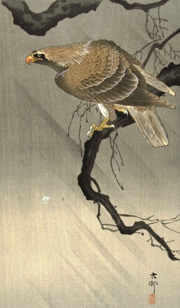 Eagle on branch  by Ohara Koson - Hand-Painted Oil Painting Reproduction