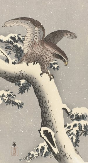 Eagle on snowy pine tree by Ohara Koson Oil Painting