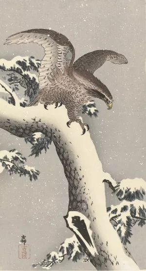 Eagle on snowy pine tree by Ohara Koson Oil Painting