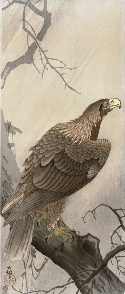 Eagle on tree branch by Ohara Koson Oil Painting