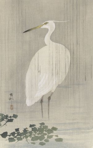 Egret in rain by Ohara Koson Oil Painting