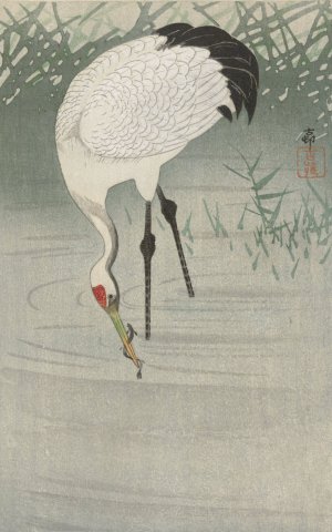 Fishing crane in shallow water by Ohara Koson Oil Painting