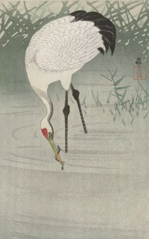 Fishing crane in shallow water by Ohara Koson Oil Painting