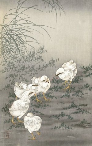 Five chicks by Ohara Koson Oil Painting