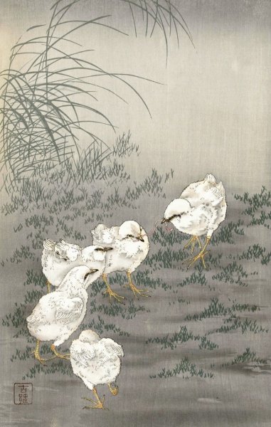 Five chicks  by Ohara Koson - Hand-Painted Oil Painting Reproduction