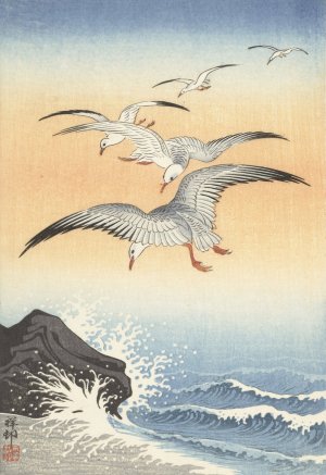 Five seagulls above turbulent sea by Ohara Koson Oil Painting