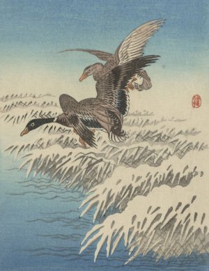 Flock of ducks flying above snowy reed collar by Ohara Koson Oil Painting