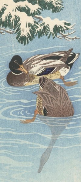 Flock of wild ducks in the water by Ohara Koson Oil Painting
