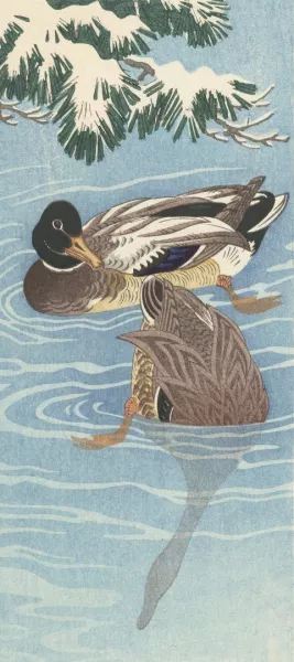 Flock of wild ducks in the water by Ohara Koson Oil Painting
