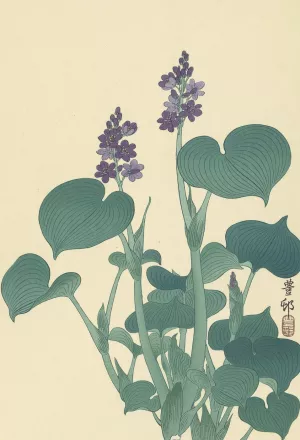 Flowering hosta by Ohara Koson Oil Painting