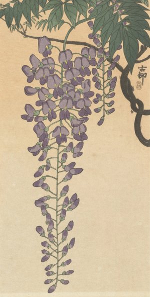 Flowering wisteria by Ohara Koson Oil Painting