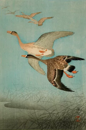 Flying Geese by Ohara Koson Oil Painting