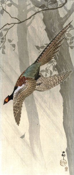 Flying pheasant by Ohara Koson Oil Painting