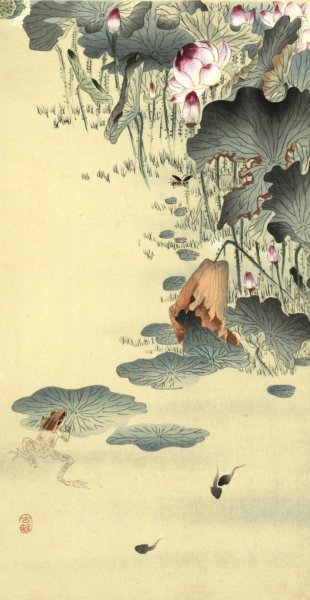 Main Product Photo of Frog and tadpoles  Painting by Ohara Koson