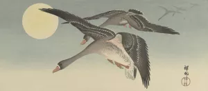 Geese at full moon by Ohara Koson Oil Painting