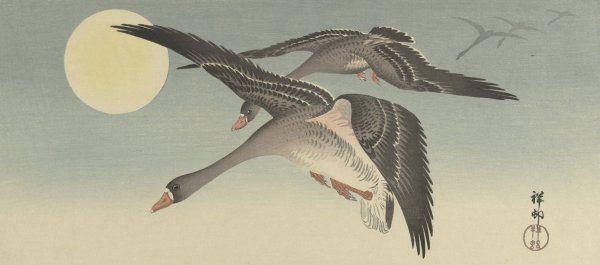 Main Product Photo of Geese at full moon  Painting by Ohara Koson