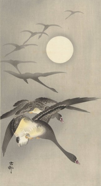 Geese at full moon  by Ohara Koson - Hand-Painted Oil Painting Reproduction