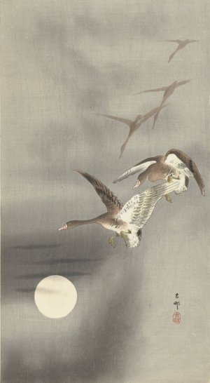 Geese in flight by Ohara Koson Oil Painting